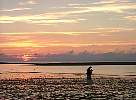 DSCF1671.JPG
